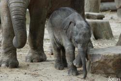 Dierenpark Emmen