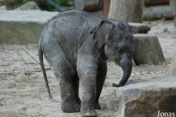 Dierenpark Emmen