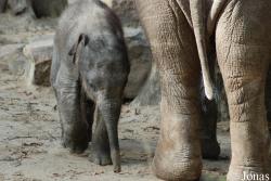 Dierenpark Emmen