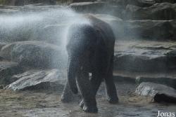 Dierenpark Emmen