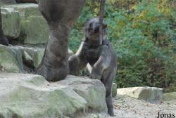 Dierenpark Emmen