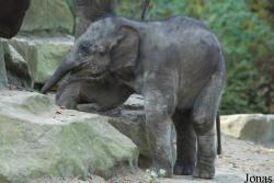 Dierenpark Emmen