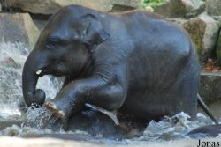 Dierenpark Emmen