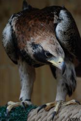 Zoo d'Amnéville