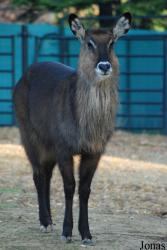 Parc Zoologique de Paris
