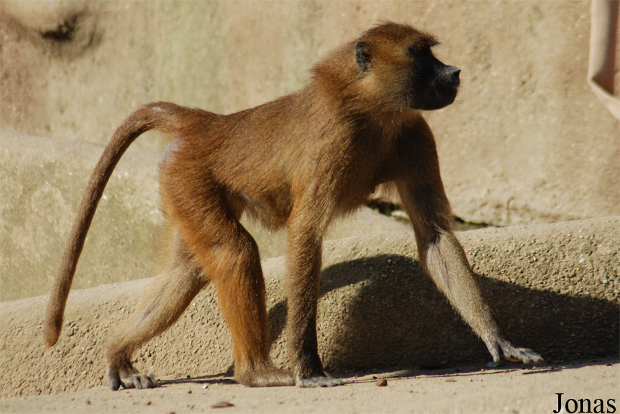 Parc Zoologique de Paris
