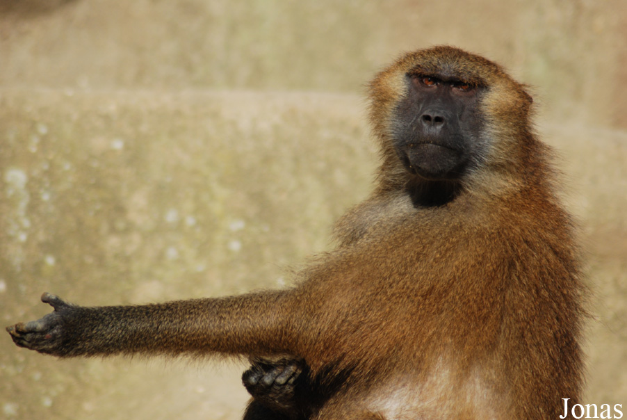 Parc Zoologique de Paris