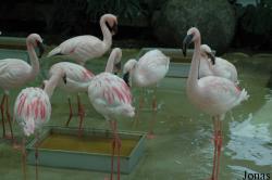 Zoologischer Garten Karlsruhe