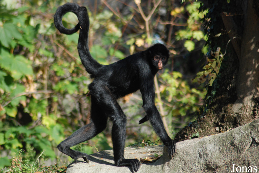 Parc Zoologique de Paris