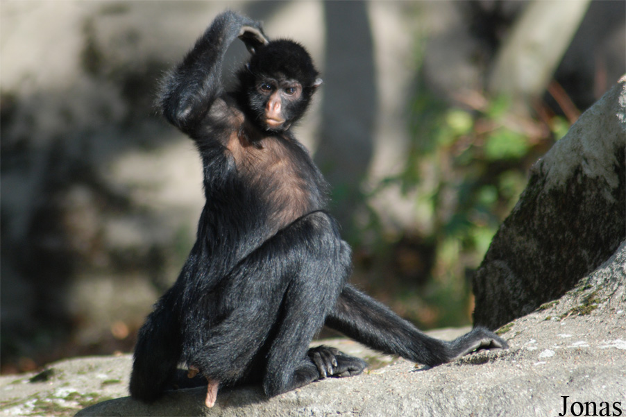 Parc Zoologique de Paris