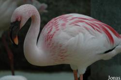 Zoologischer Garten Karlsruhe
