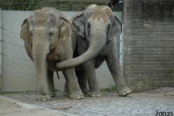 Zoologischer Garten Karlsruhe