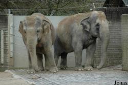 Zoologischer Garten Karlsruhe
