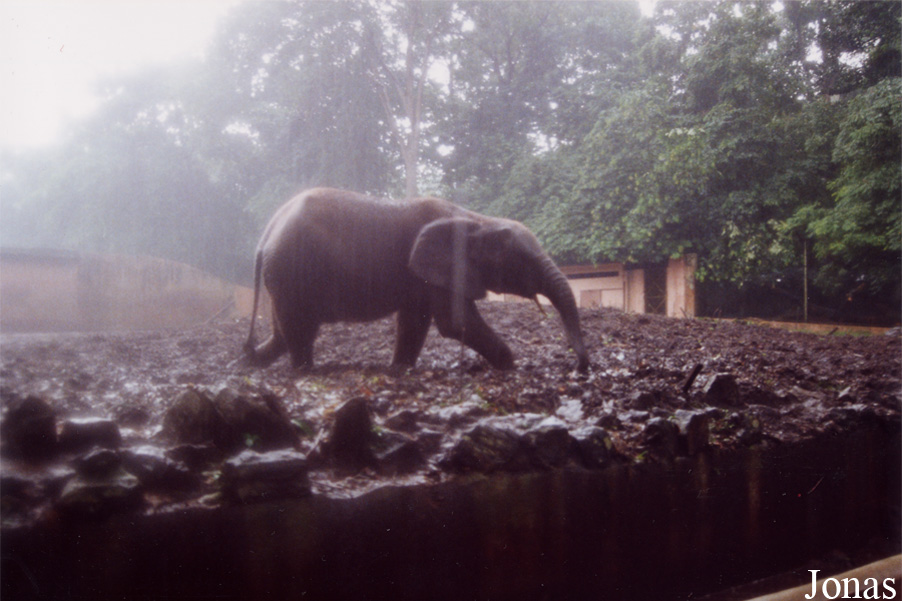 Zoo d'Abidjan