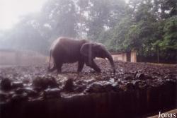 Zoo d'Abidjan