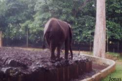 Zoo d'Abidjan