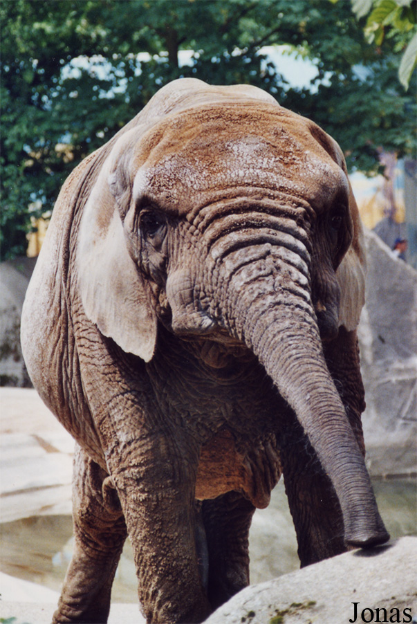 Parc Zoologique de Paris
