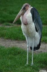 Zoologischer Garten Karlsruhe