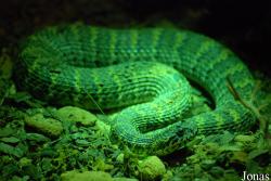 TerraZoo Rheinberg