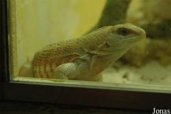Zooparc de Cheptainville