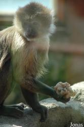 Zoo da Maia