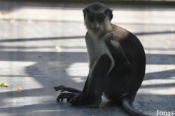 Dubai Zoo