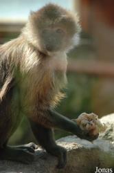 Zoo da Maia