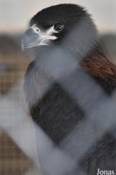 Dubai Zoo