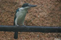ZooParc de Beauval