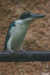 ZooParc de Beauval