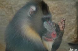 Zoo da Maia