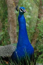 Pôle-Nature du Marais des Oiseaux