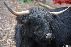 Wildpark Pforzheim