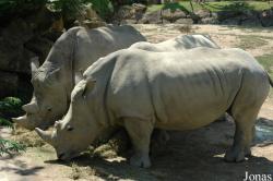 Zoo d'Amnéville