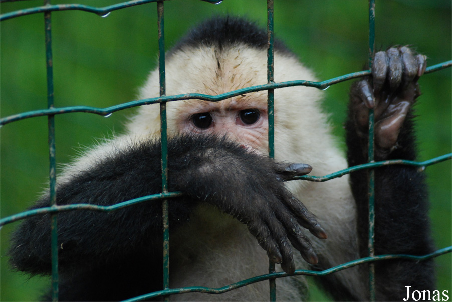 Zoo d'Asson