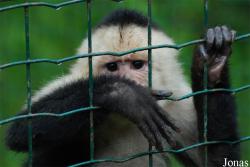 Zoo d'Asson