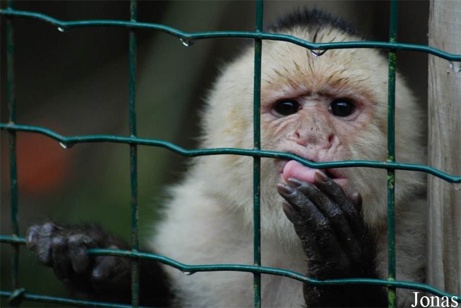 Zoo d'Asson