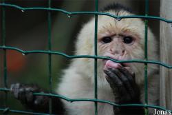 Zoo d'Asson