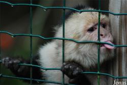 Zoo d'Asson