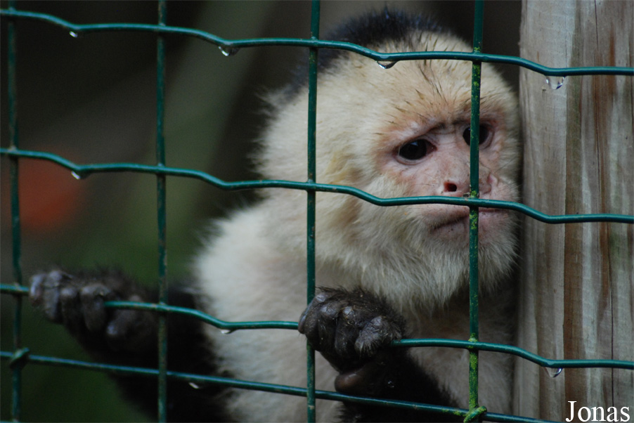 Zoo d'Asson