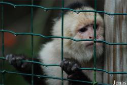 Zoo d'Asson