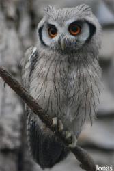 Zoo d'Asson