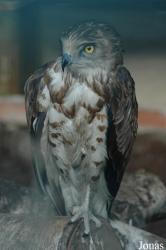 Vigo Zoo