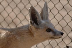 H. E. Sheikh Butti Maktoum's Wildlife Center