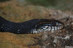 Aquarium du Périgord Noir