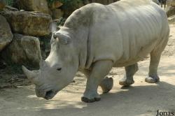 Zoo d'Amnéville