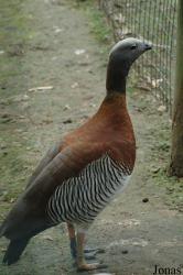 Zoo Lourosa
