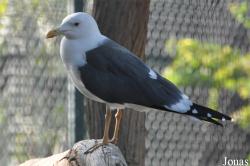 Dubai Zoo