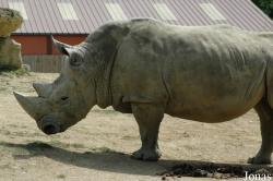 Zoo d'Amnéville