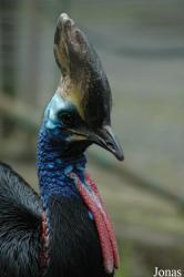 Zoo Lourosa